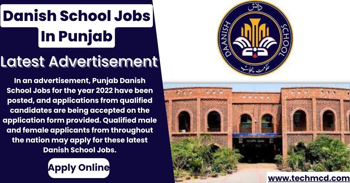 Danish School Jobs In Punjab 2022-Application Form